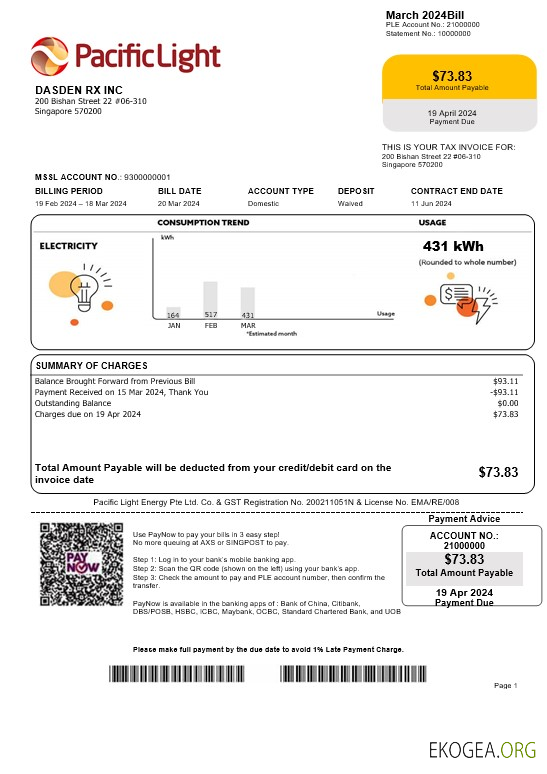 Modèle de facture de services publics d'électricité de Singapour Pacific Light aux formats Word et PDF